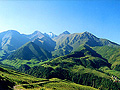 Гармония жизни